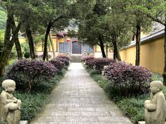 -缙云山景区