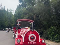 -日照海滨国家森林公园