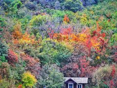 -九如山休闲旅游度假区