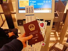 -纽瓦克自由国际机场