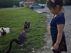 -蓝地时尚庄园(北京清河营地铁站店)