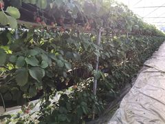 -普迪生态园