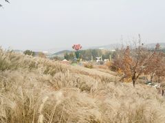 -密云玫瑰情园