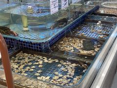 -天盛海鲜烧烤大排档·本地小海鲜·牟平腿穗子(幸福店)