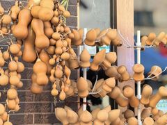 -中环花鸟鱼虫市场