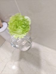 -HEYAN荷妍专业脱毛连锁机构