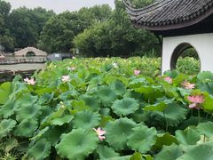 -宜兴张公洞