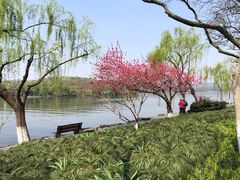 -苏堤停车场