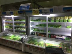 -蚝专家