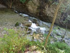 -王顺山国家森林公园