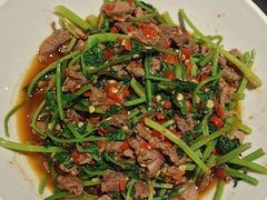 -壹盏灯(惠农店)