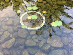 -苏州湾王焰温泉度假酒店