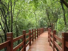 -广州白江湖森林公园