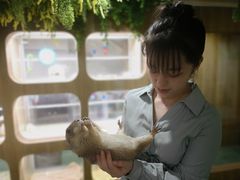 -藦茜花园宠物主题亲子互动体验馆(国顺东路店)
