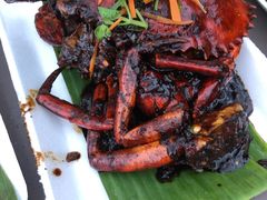 -东海岸人工湖美食村