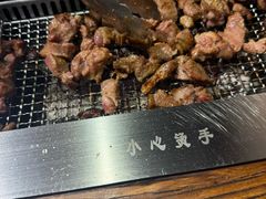 -柿子树炭烤羊腿(金台路店)