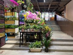 -扶光书店(中环店)