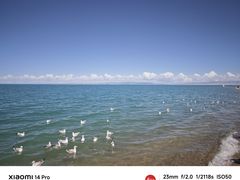 -青海湖国家重点风景名胜区