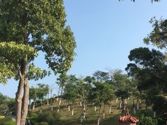 -五通灯塔公园