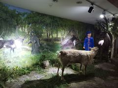 -东北民族民俗博物馆