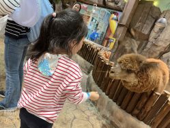 点击看大图 -宝燕乐园(闵行旗舰店)