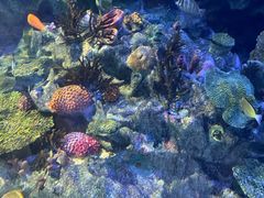 -海合安成都极地海洋公园
