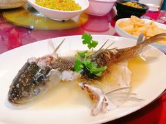 -云顶山庄·粤菜·农家菜(共和店)