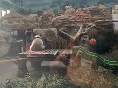 -石家庄市动物园