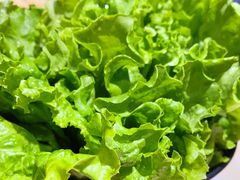 -小牛哈尼韩式水煎肉(万象城店)