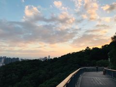 -金鸡山公园