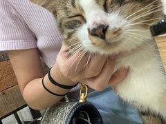 -玉椰林甜品店(创始店)