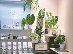 -Dogi&kiki Coffee(中心商务大厦店)