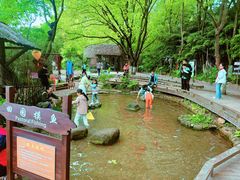 -天目湖山水园