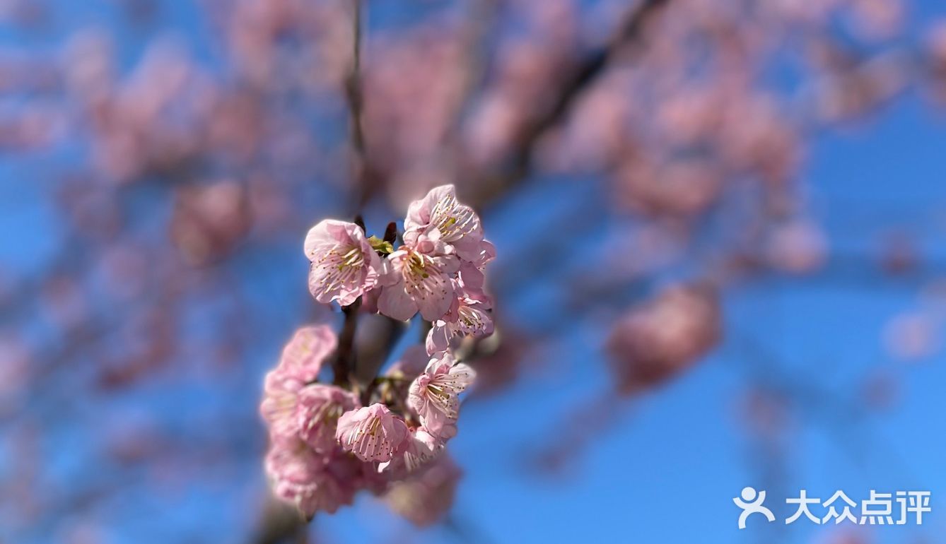 万物自有它的季节，耕种、锄草，花开时看花