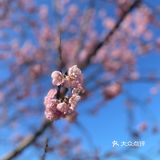 万物自有它的季节，耕种、锄草，花开时看花