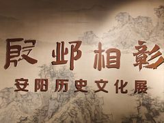 -安阳博物馆