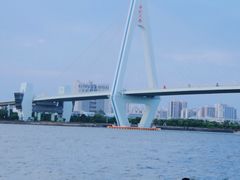 -万绿园