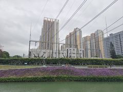 -福田红树林生态公园