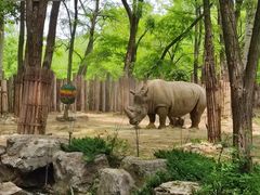 -北京野生动物园