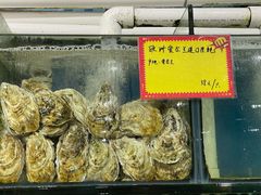 -蚝专家(北滘店)
