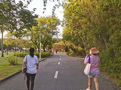-南沙蒲洲花园