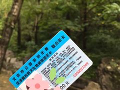 -雾灵西峰