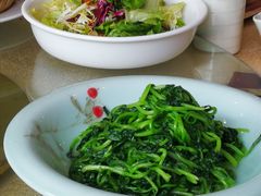 -京食源烧鸽子