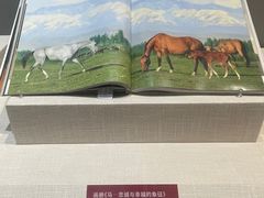 -浙江西湖美术馆