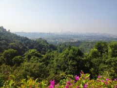 景点-火炉山森林公园