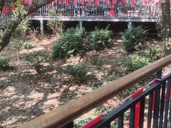 -雨花胜境