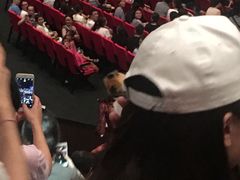 -重庆国际马戏城
