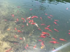 -昆嵛山石门里景区