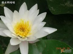 -紫竹院公园冰场