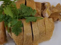 -湛江明记(湛江鸡湛江生蚝)